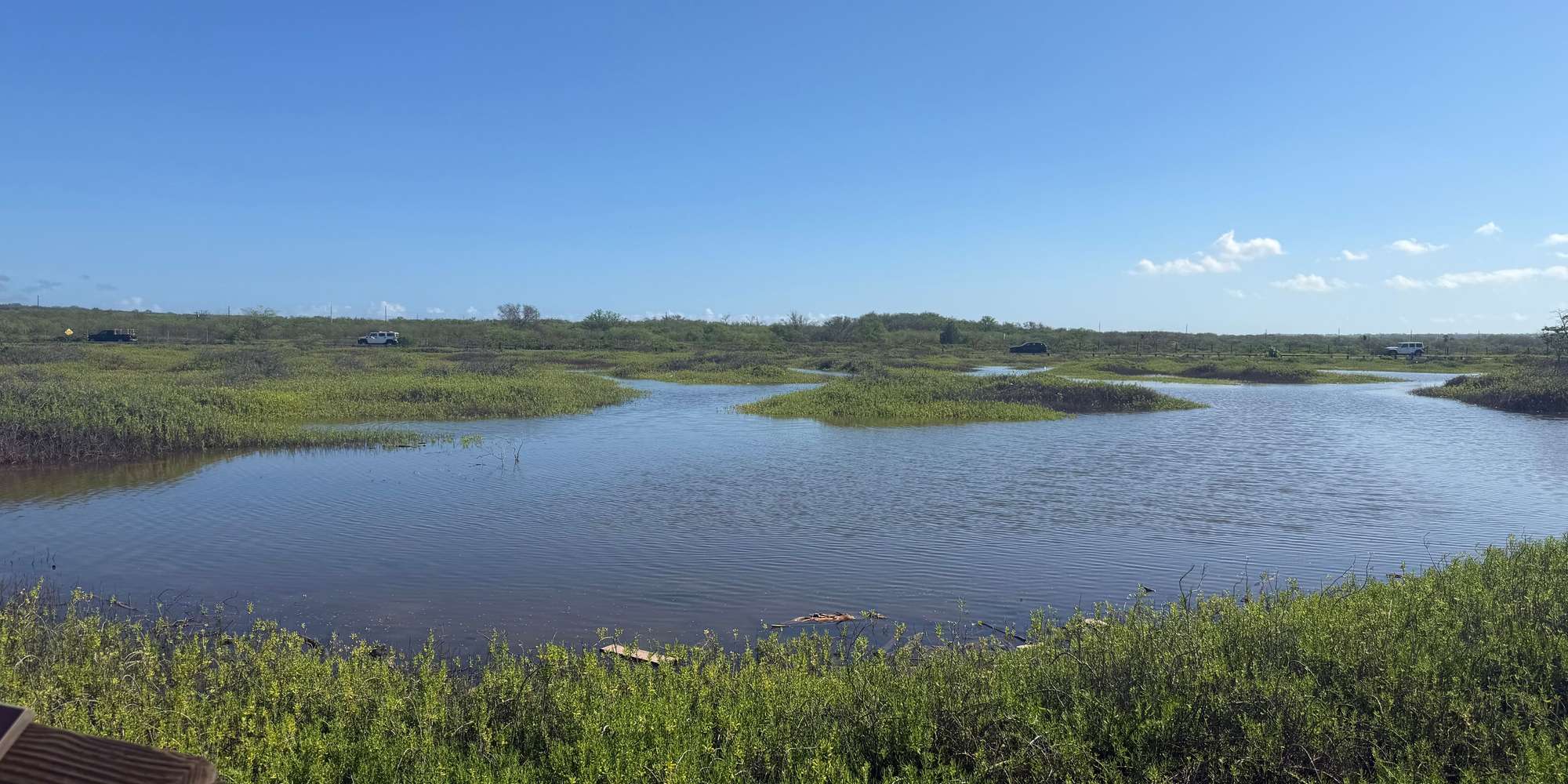 Second image to compare