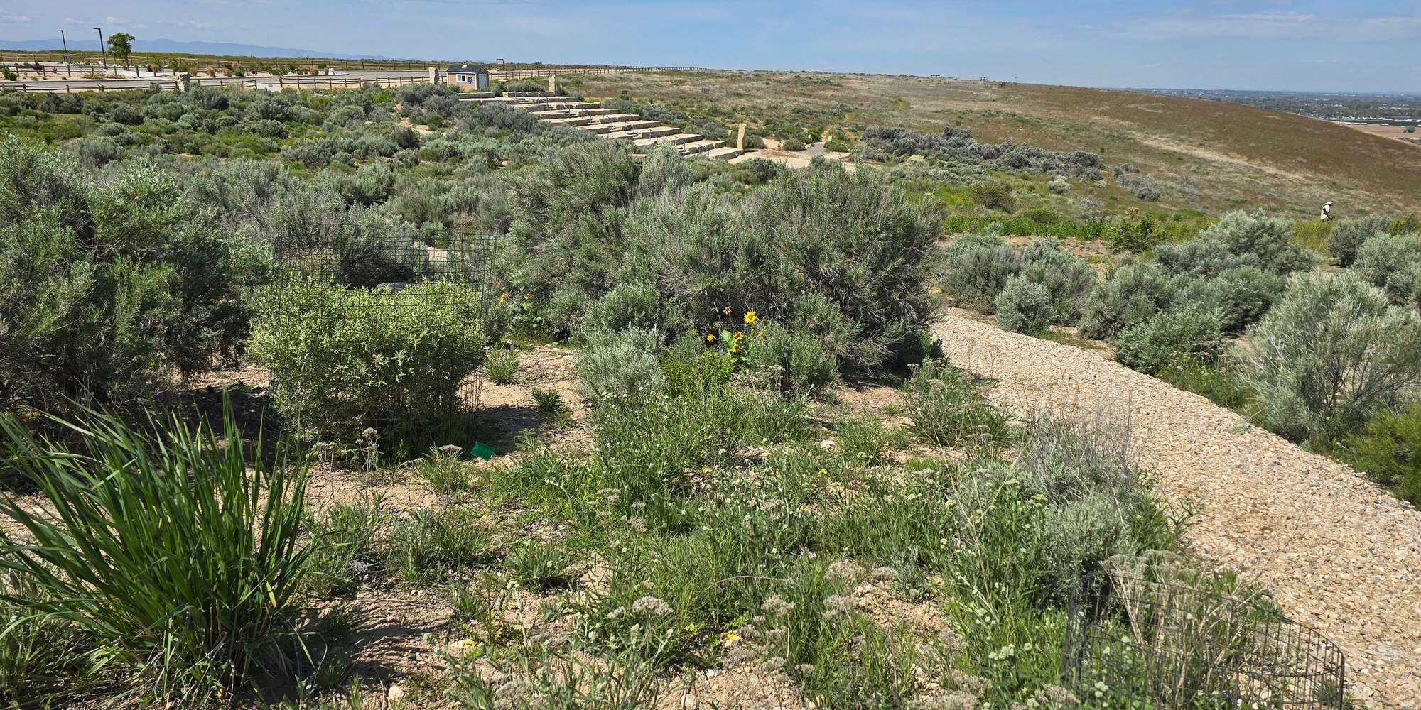 Second image to compare