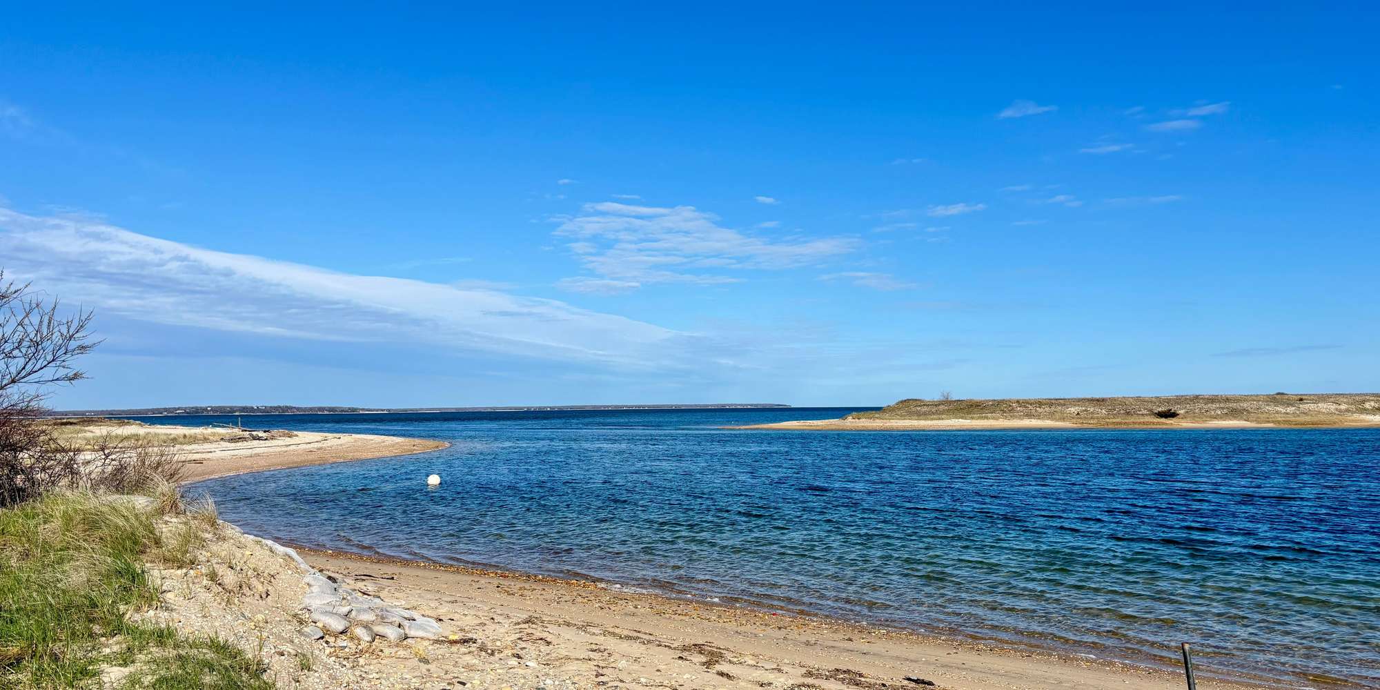 Second image to compare