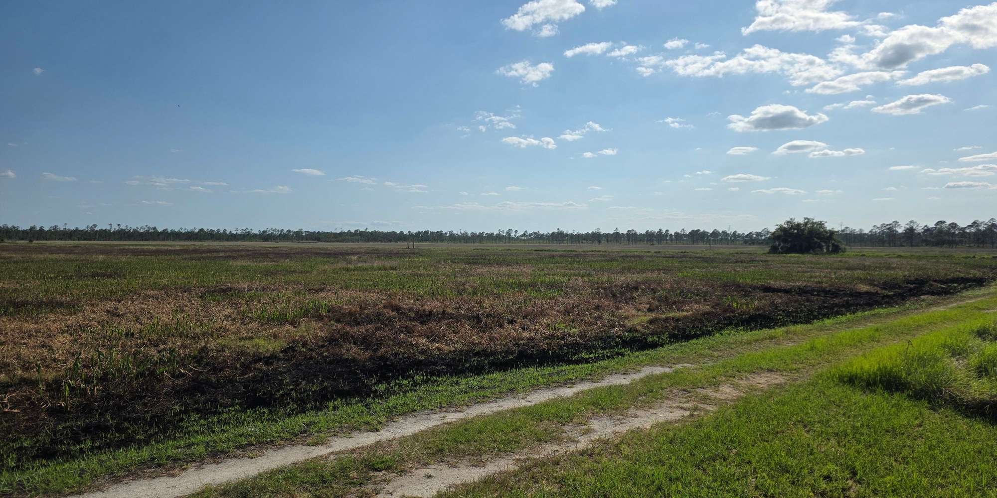 Second image to compare