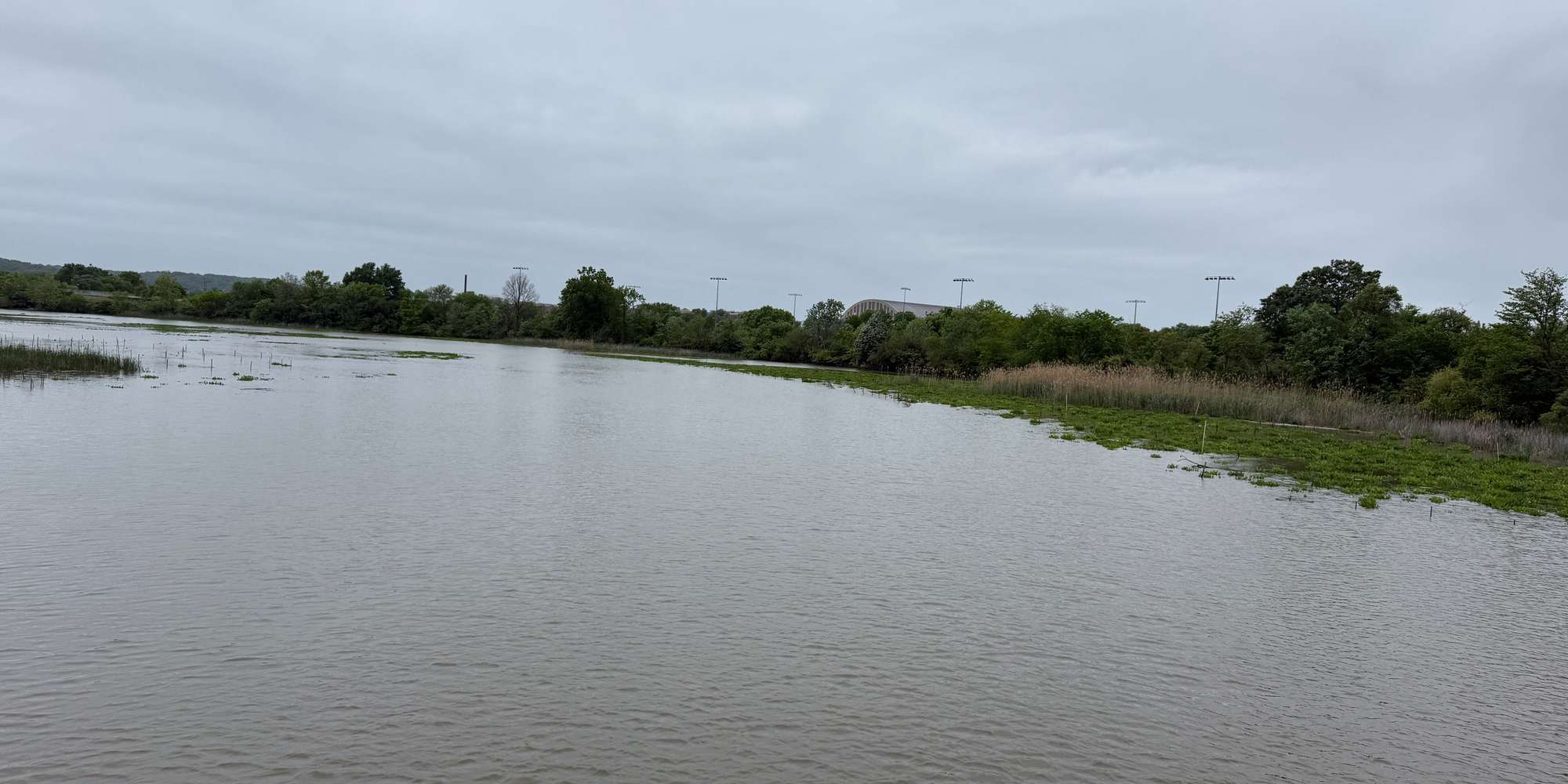 Second image to compare