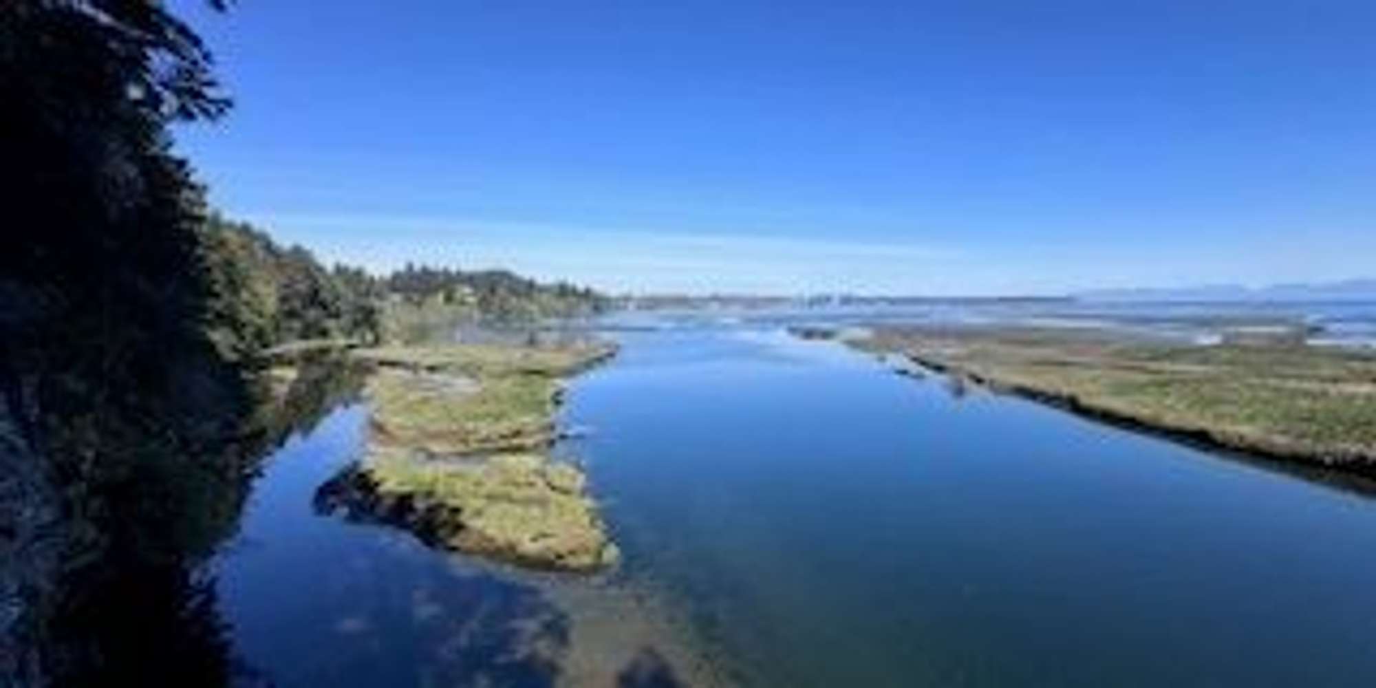 Second image to compare