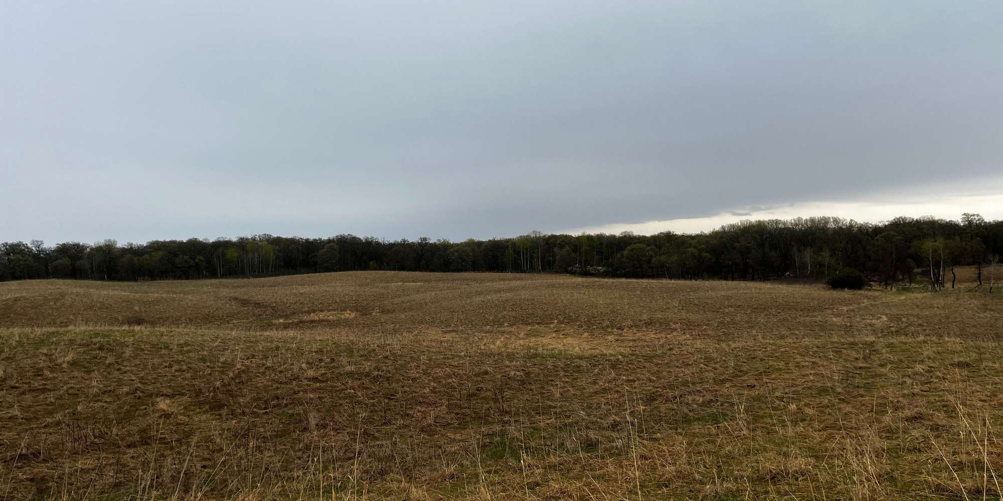 Second image to compare