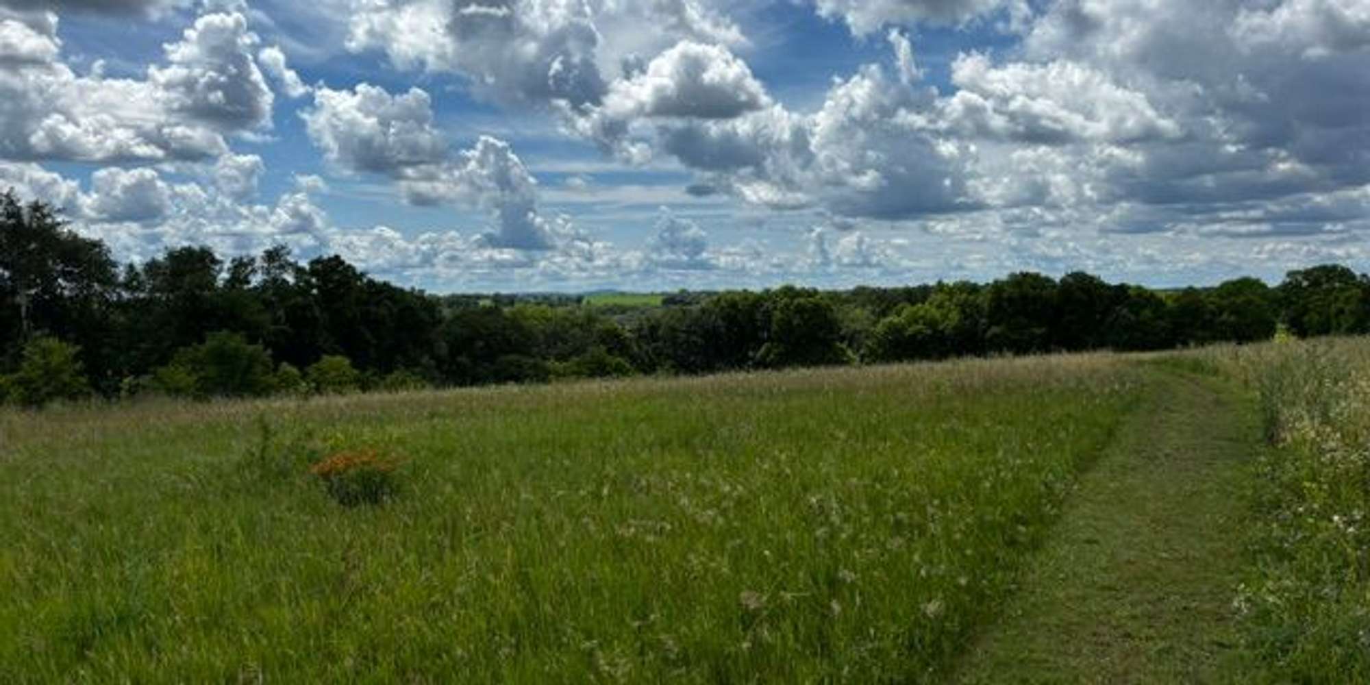 Second image to compare
