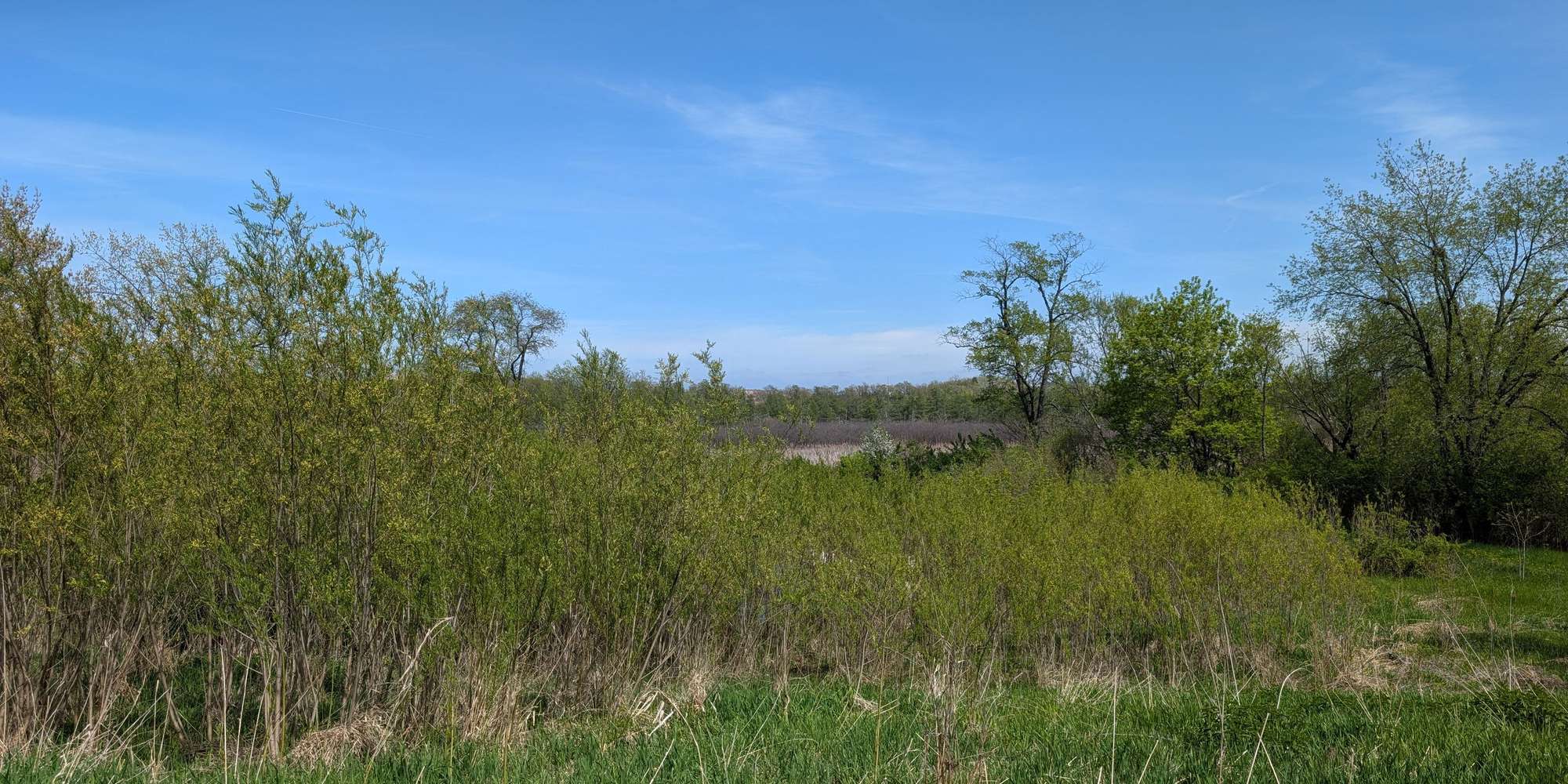 Second image to compare