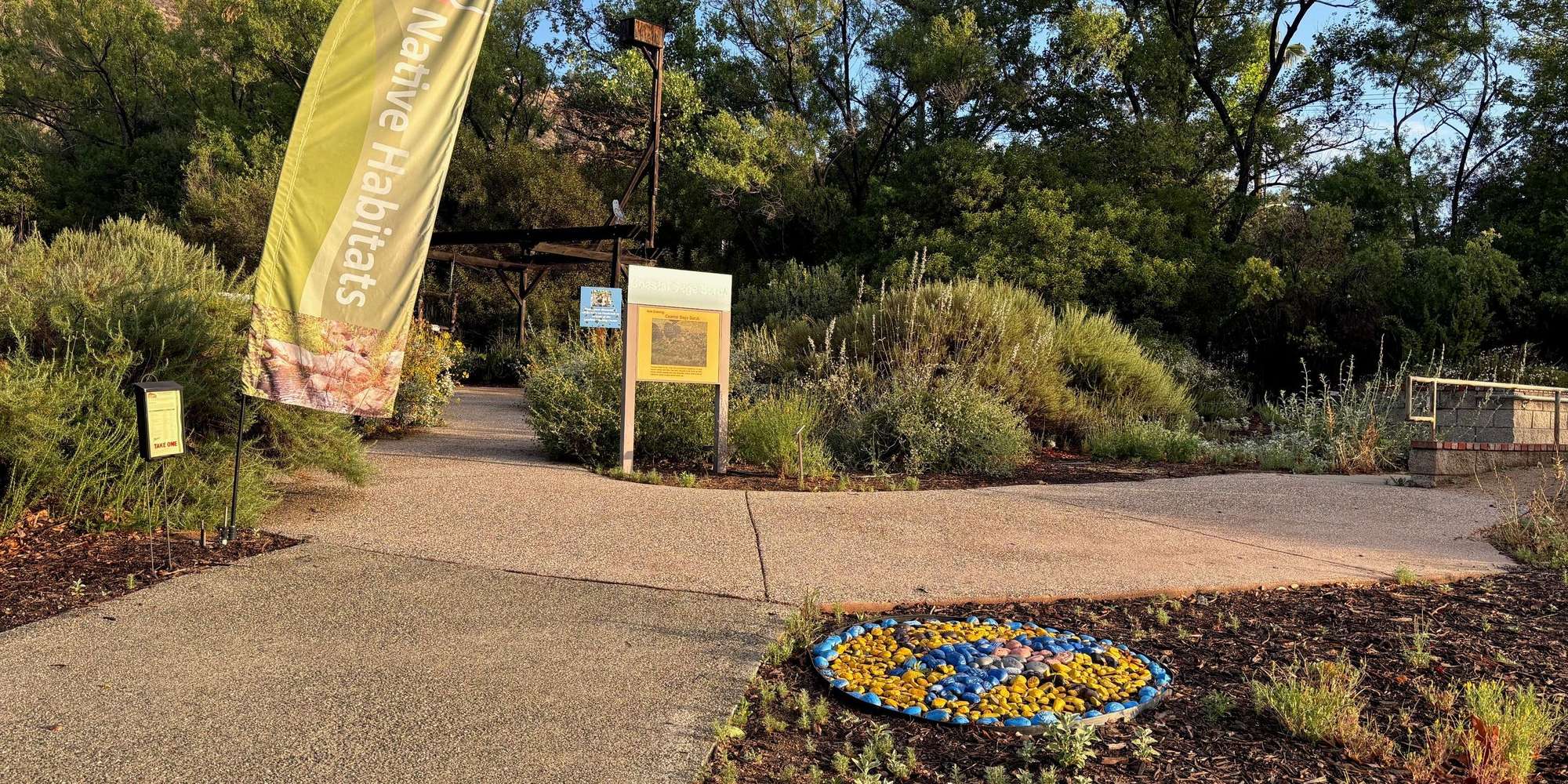 Second image to compare