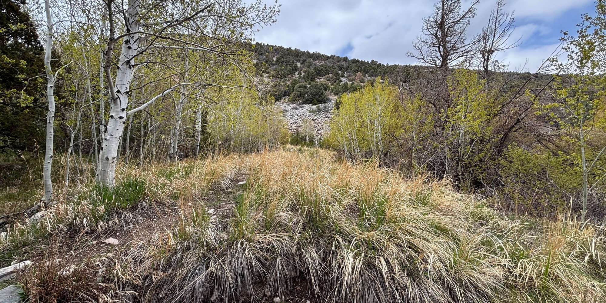 Second image to compare