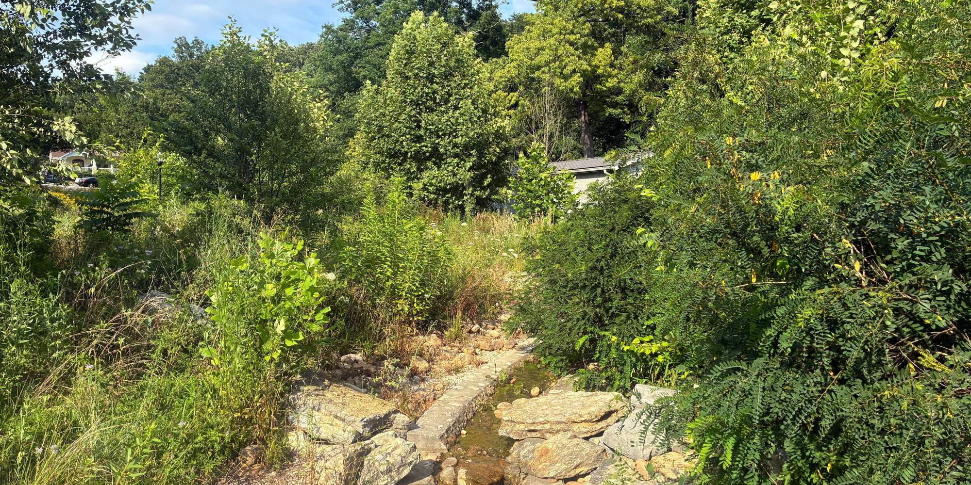 Second image to compare
