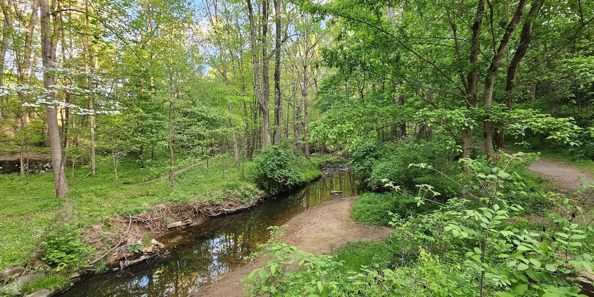 Second image to compare