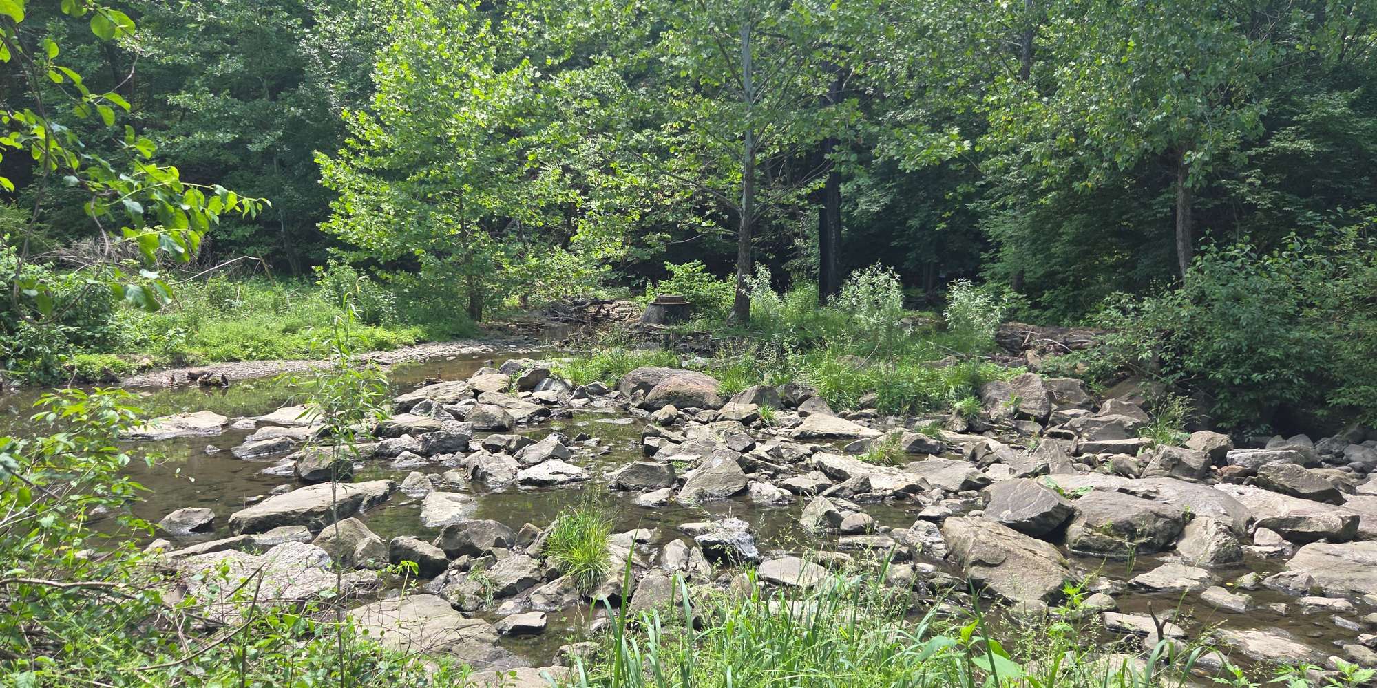 Second image to compare