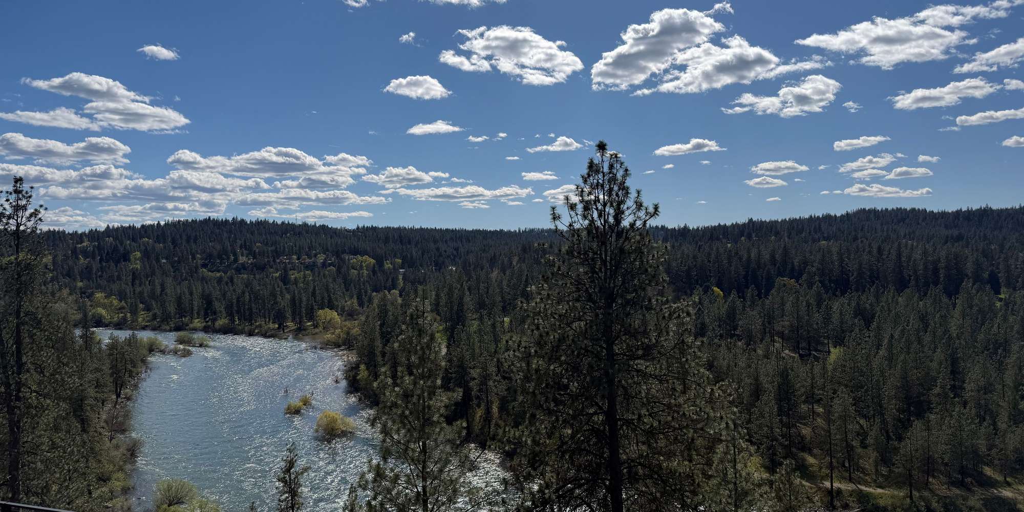 Second image to compare