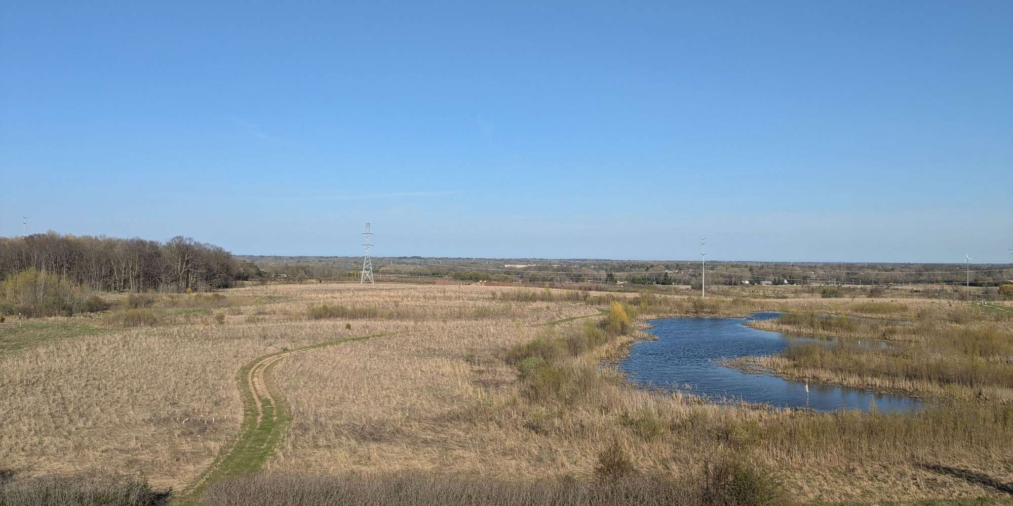 Second image to compare