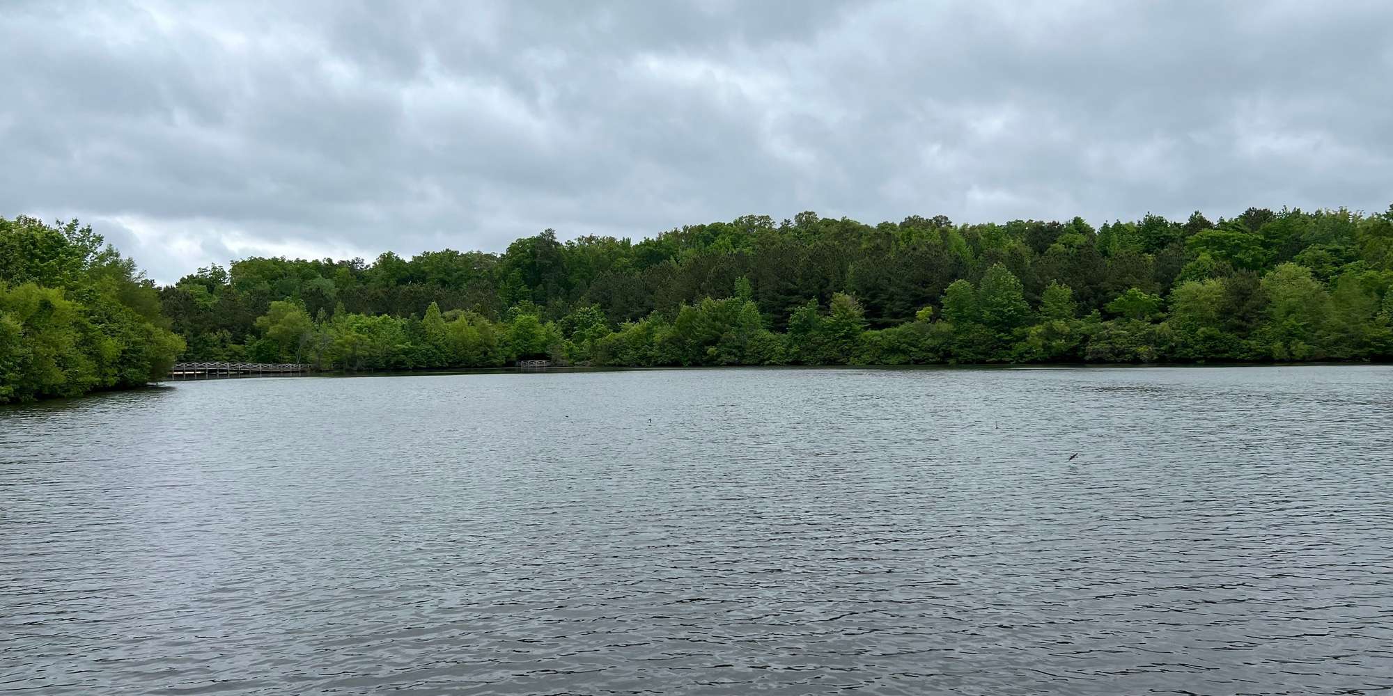 Second image to compare