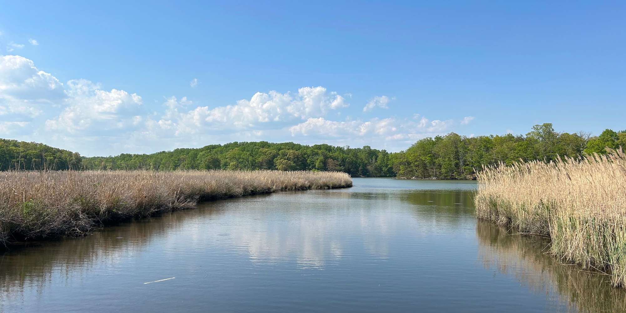 Second image to compare