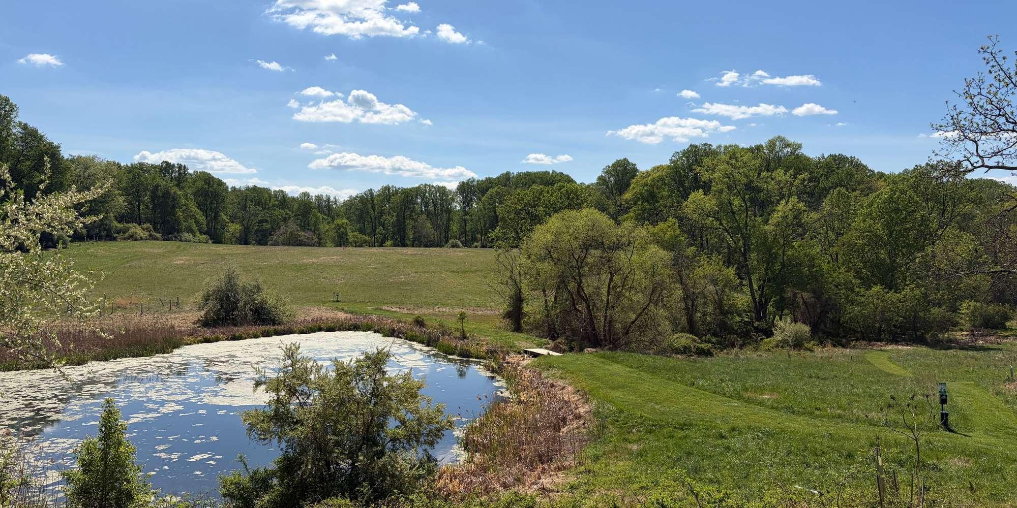 Second image to compare