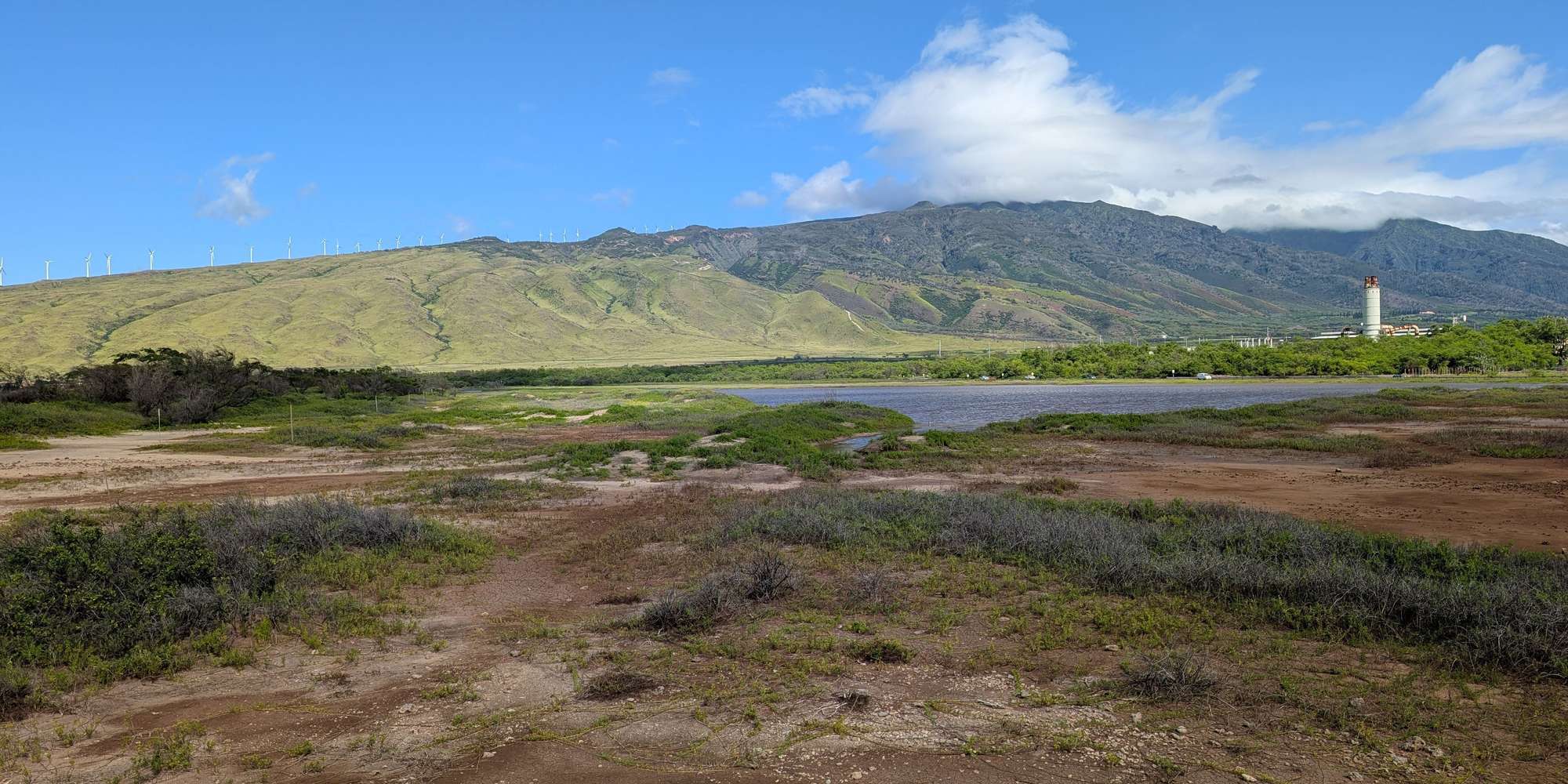 Second image to compare