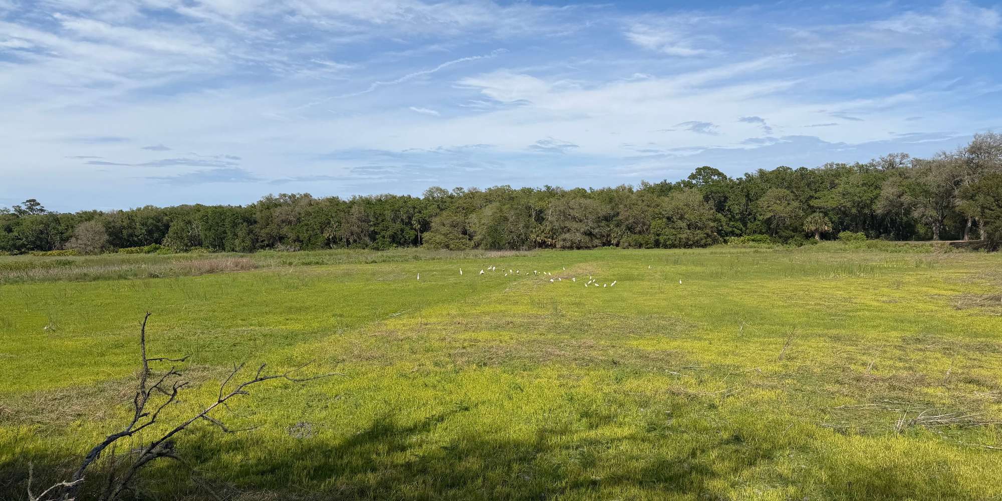 Second image to compare