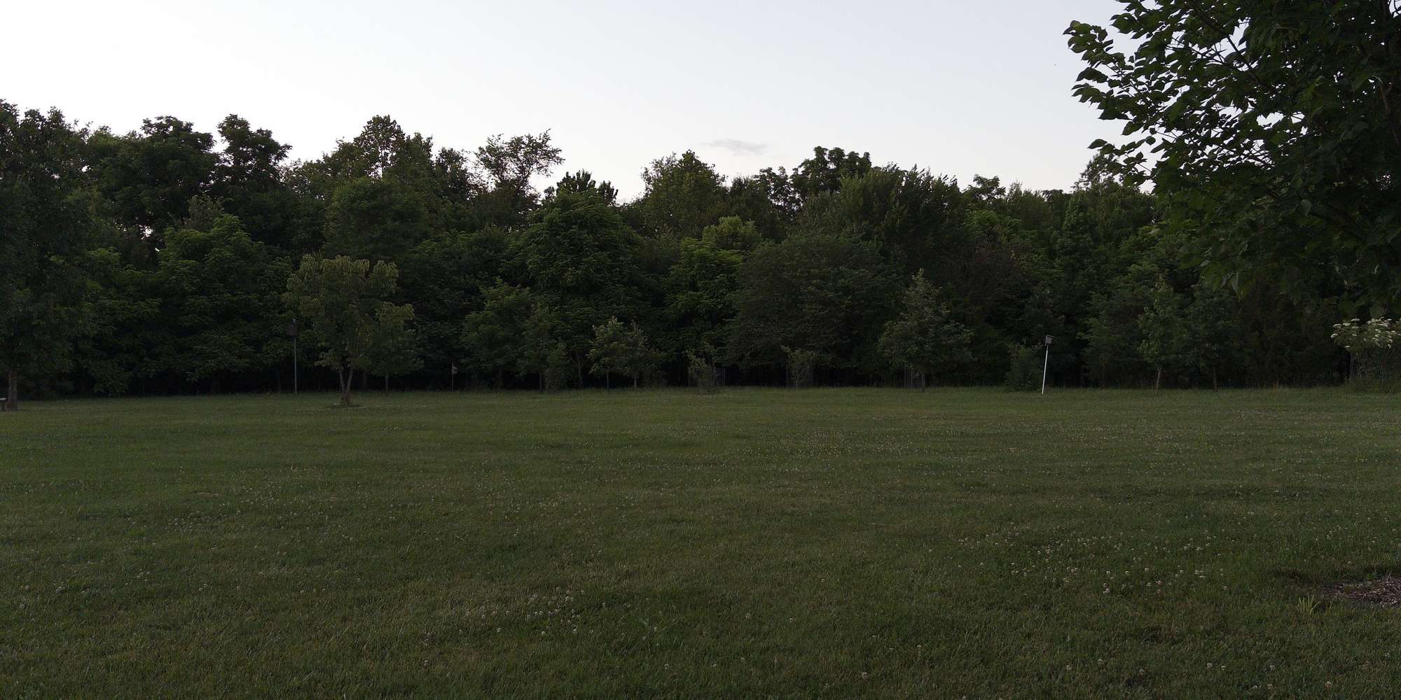 Second image to compare