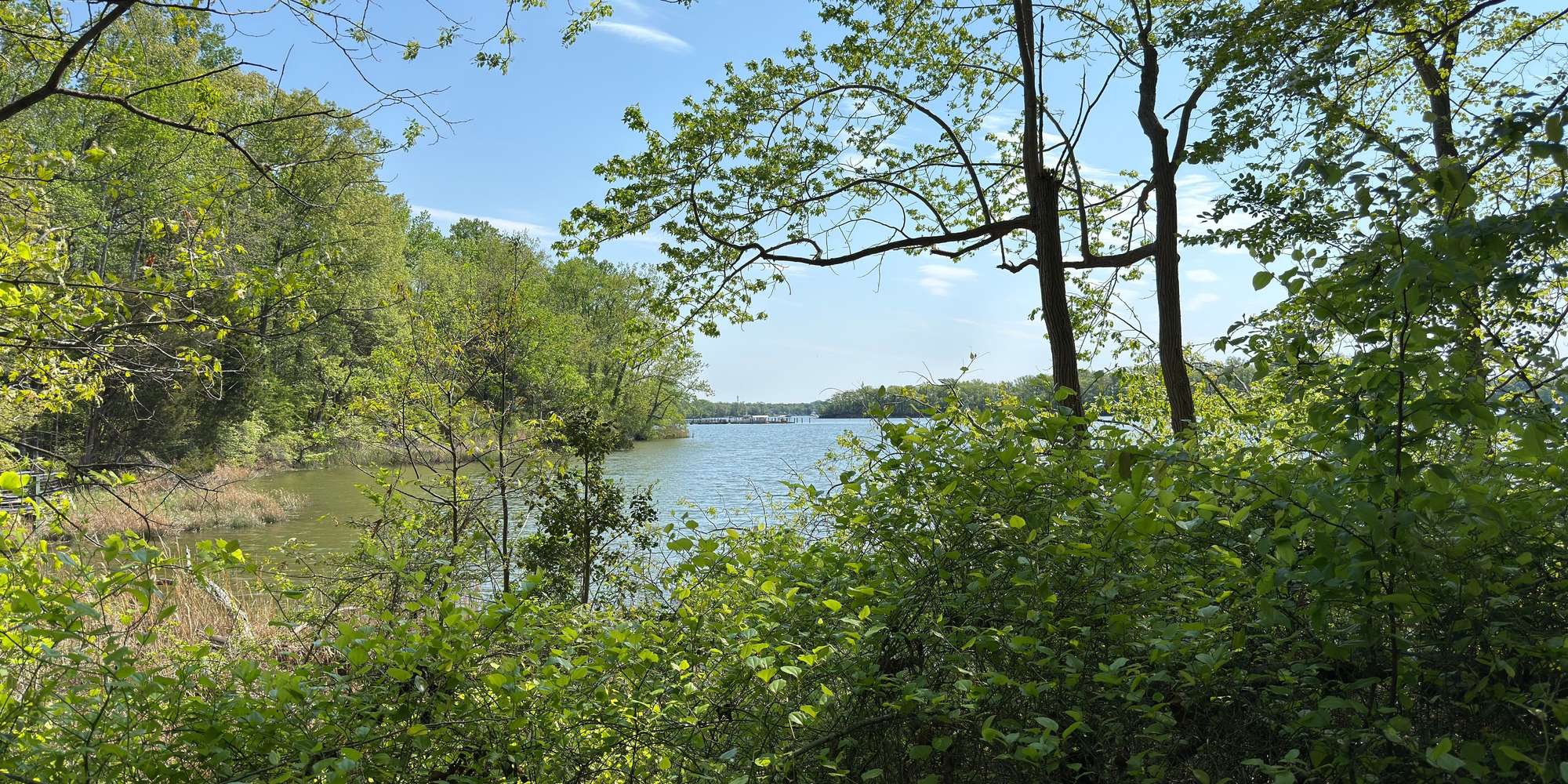 Second image to compare