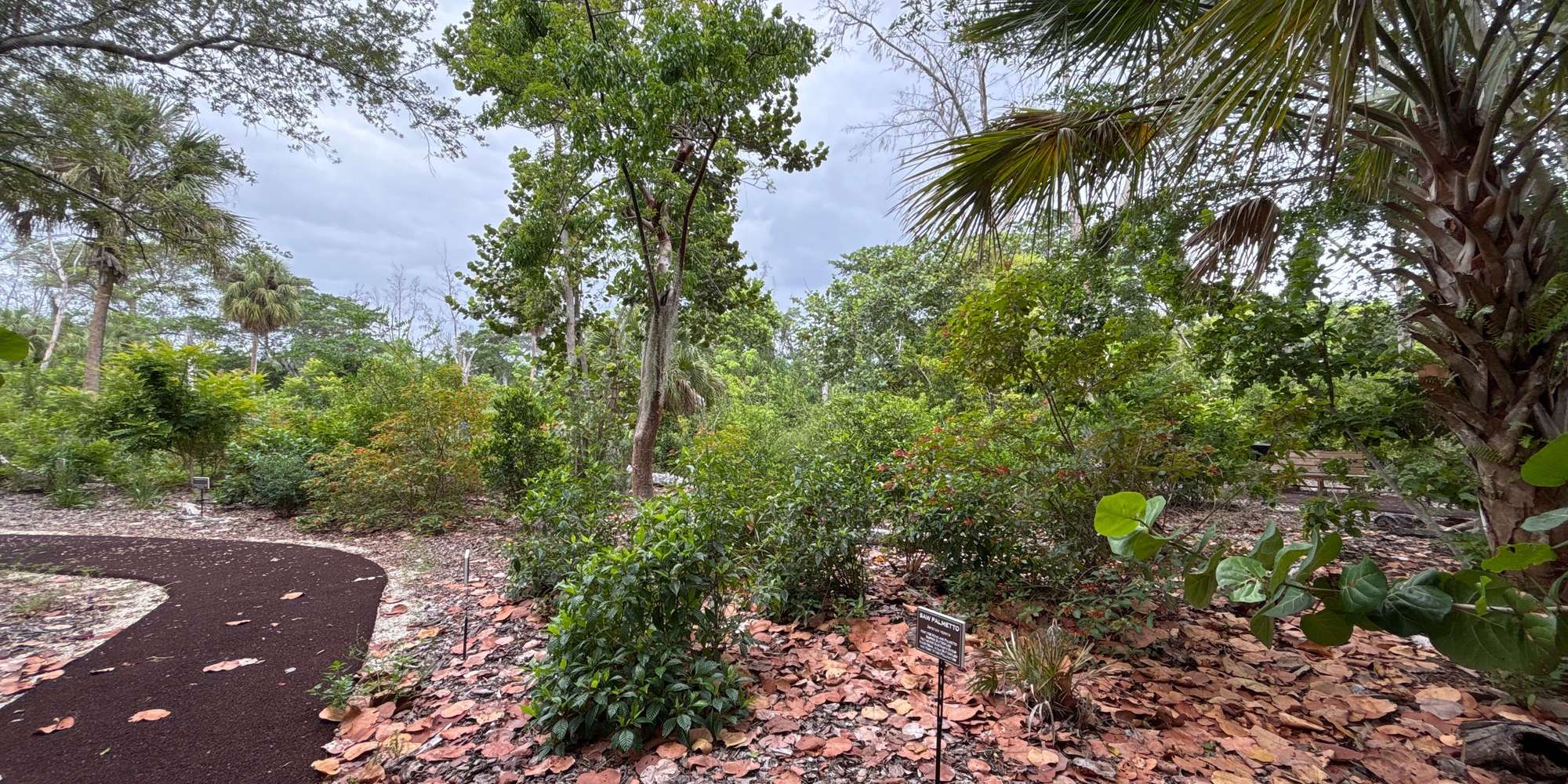 Second image to compare