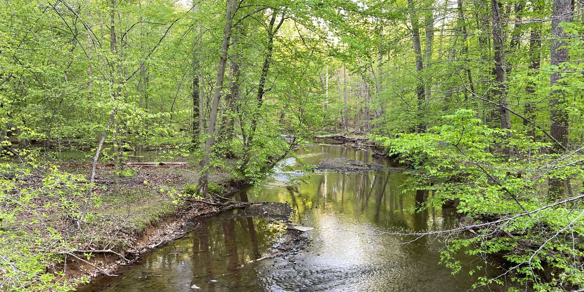 Second image to compare