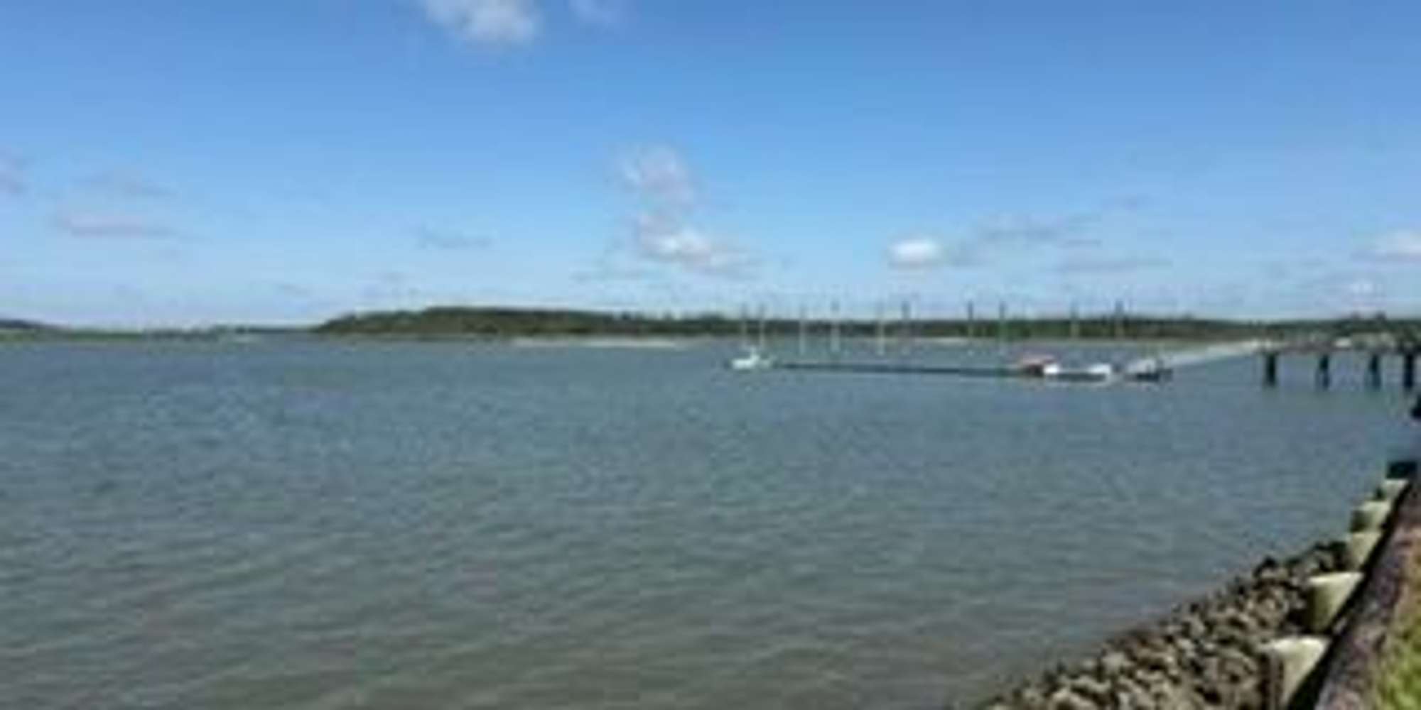 Second image to compare