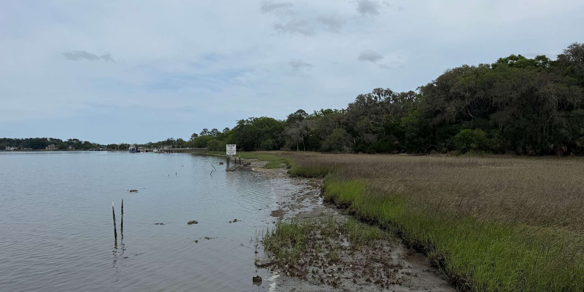 Second image to compare