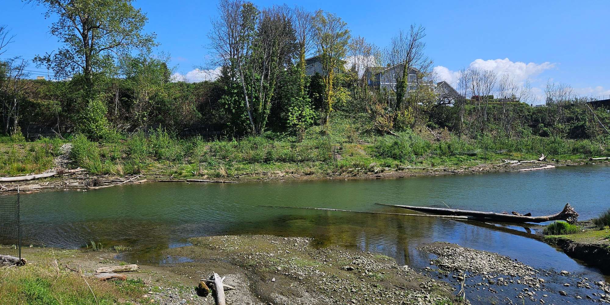 Second image to compare