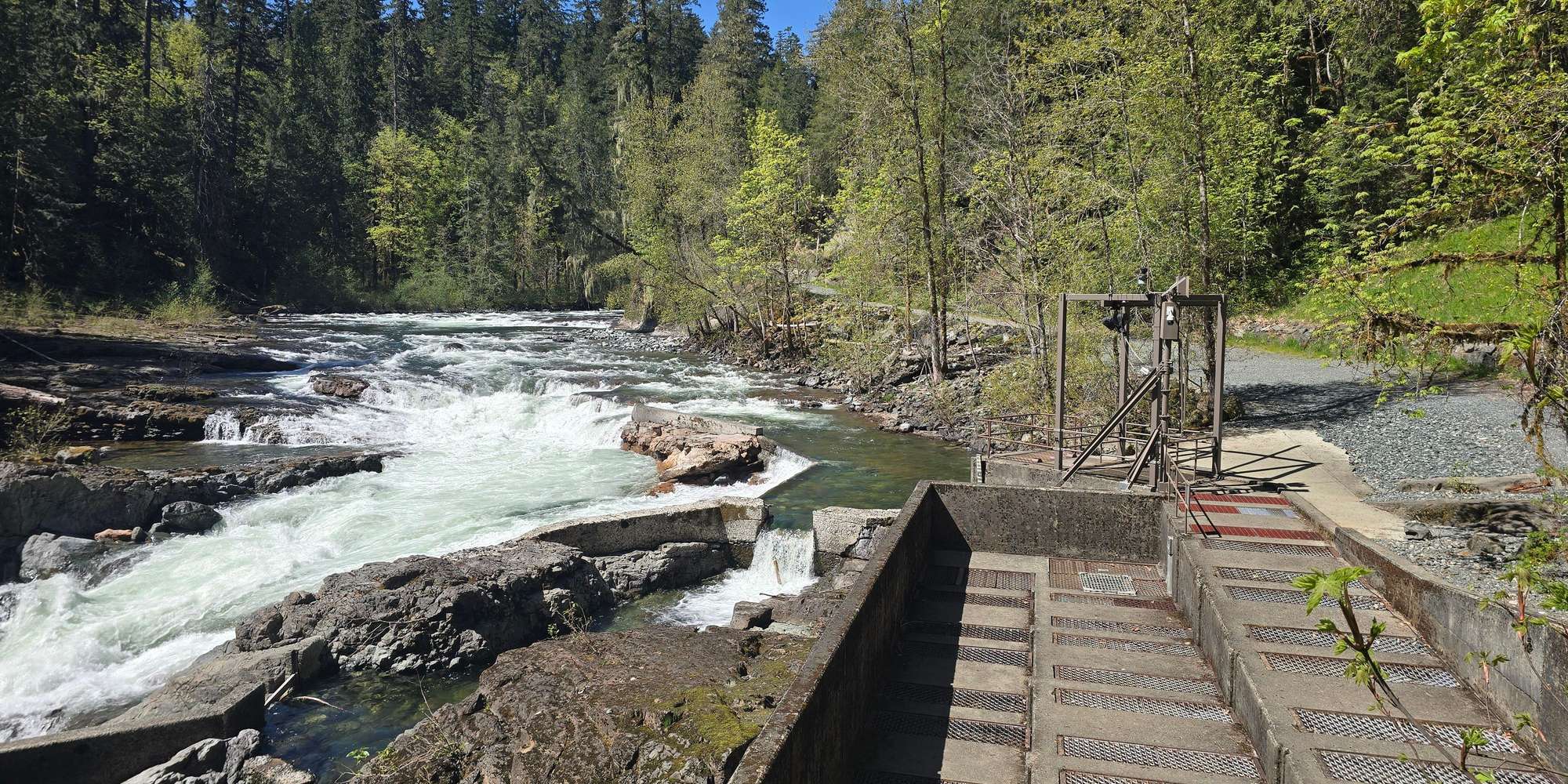 Second image to compare