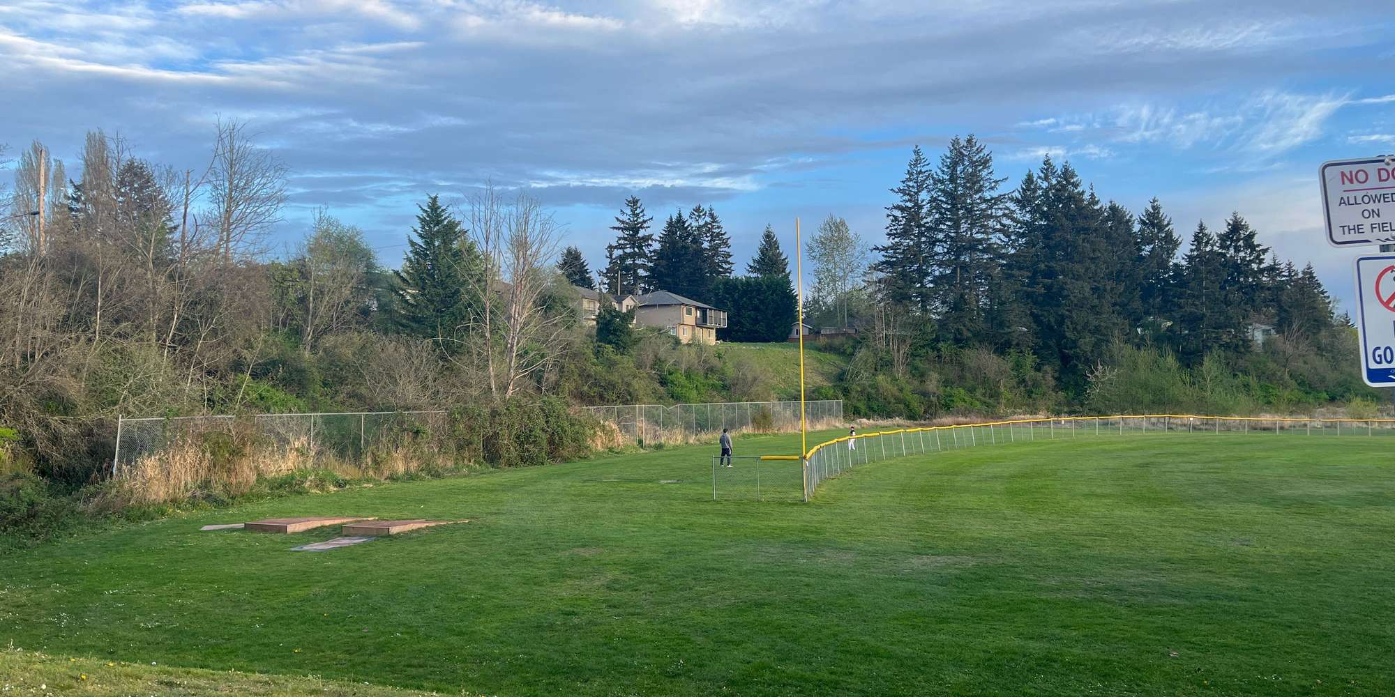 Second image to compare