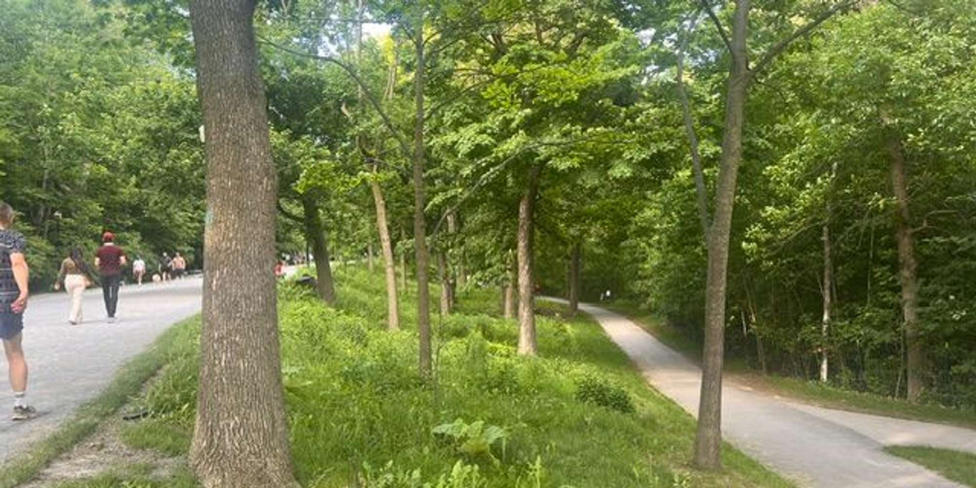 Second image to compare