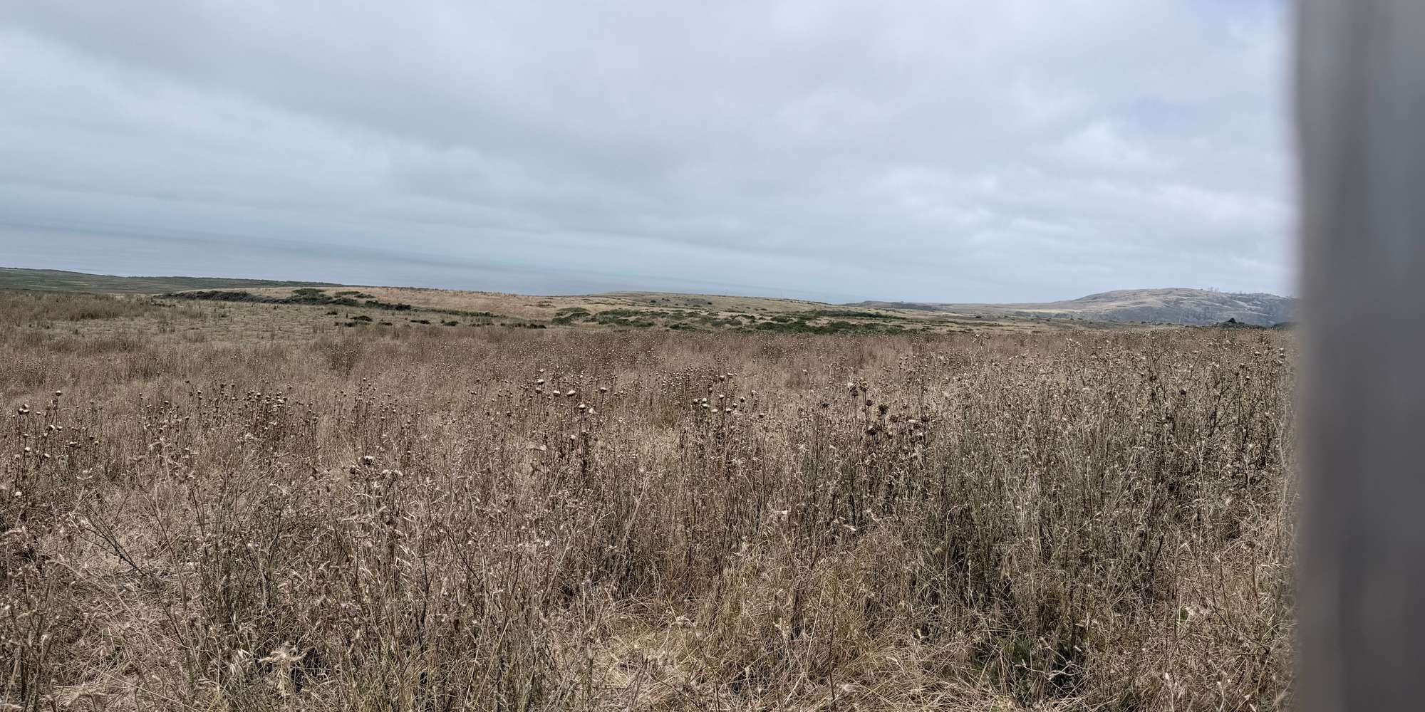 Second image to compare