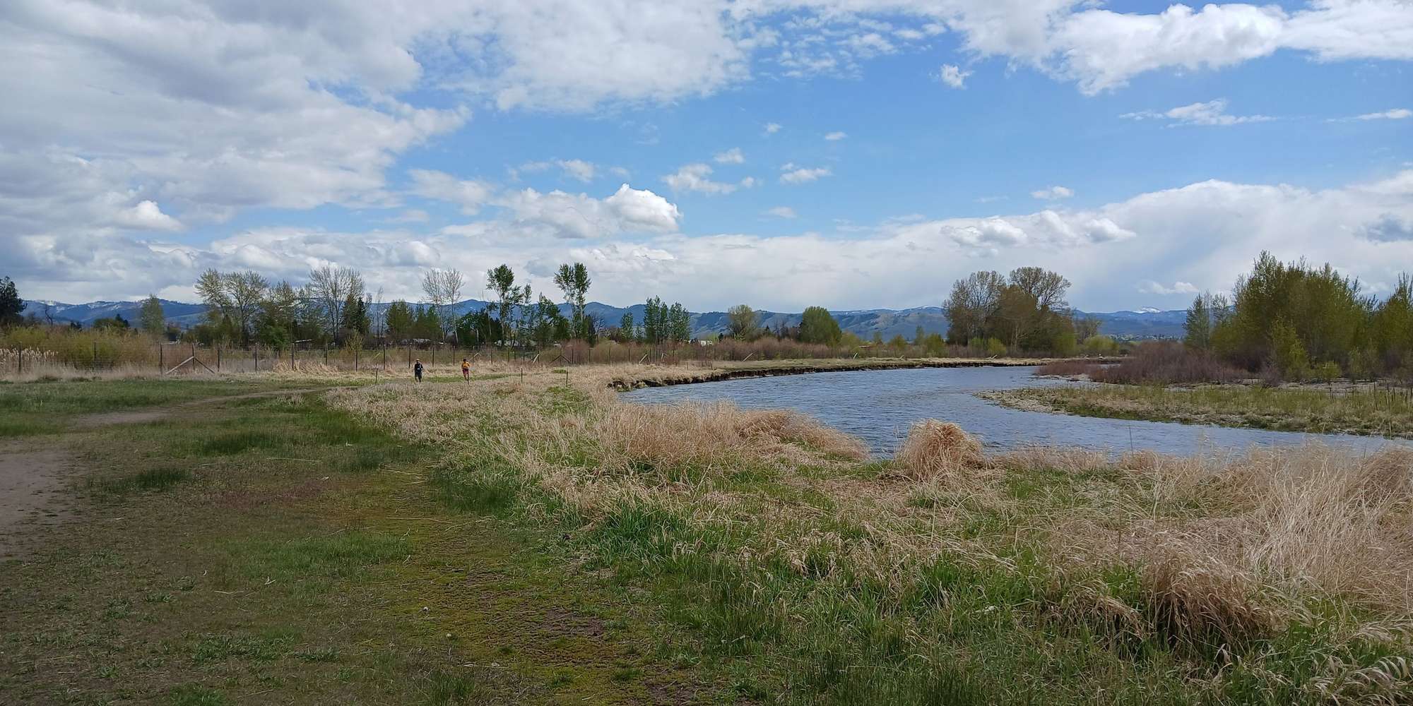 Second image to compare