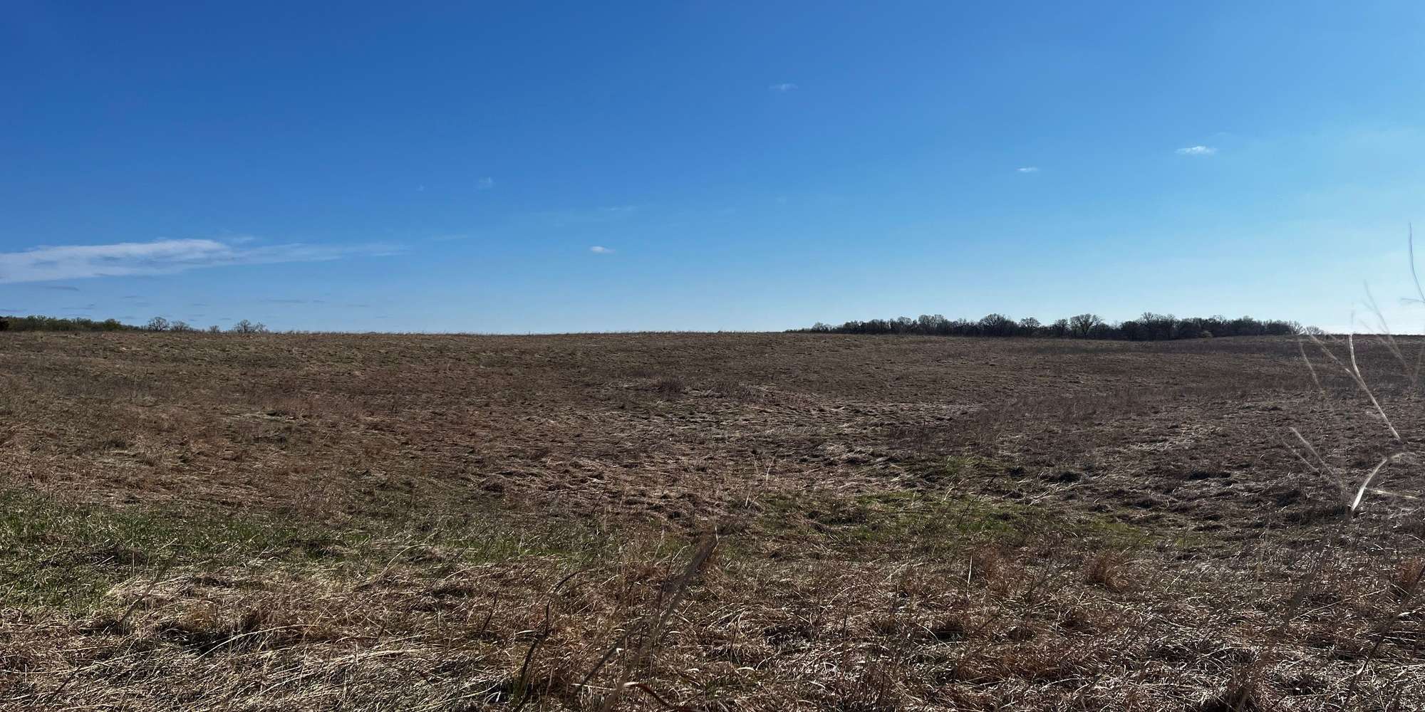 Second image to compare