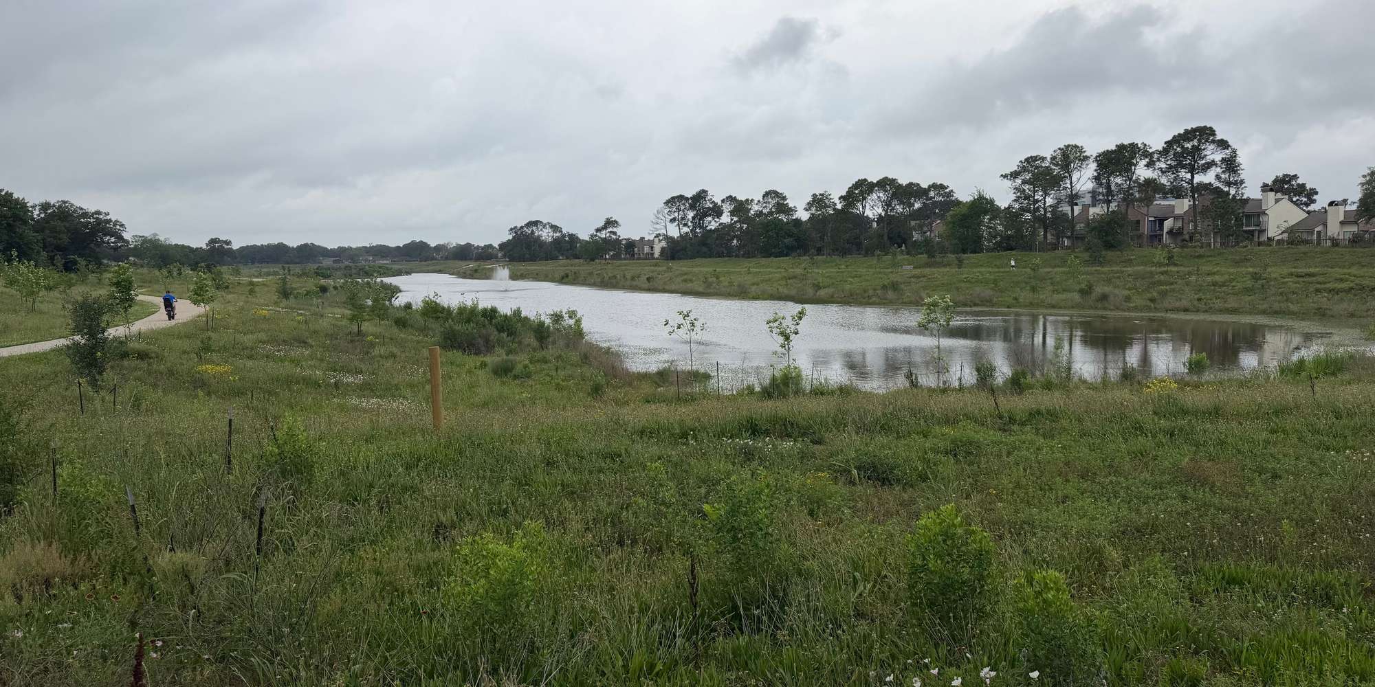 Second image to compare