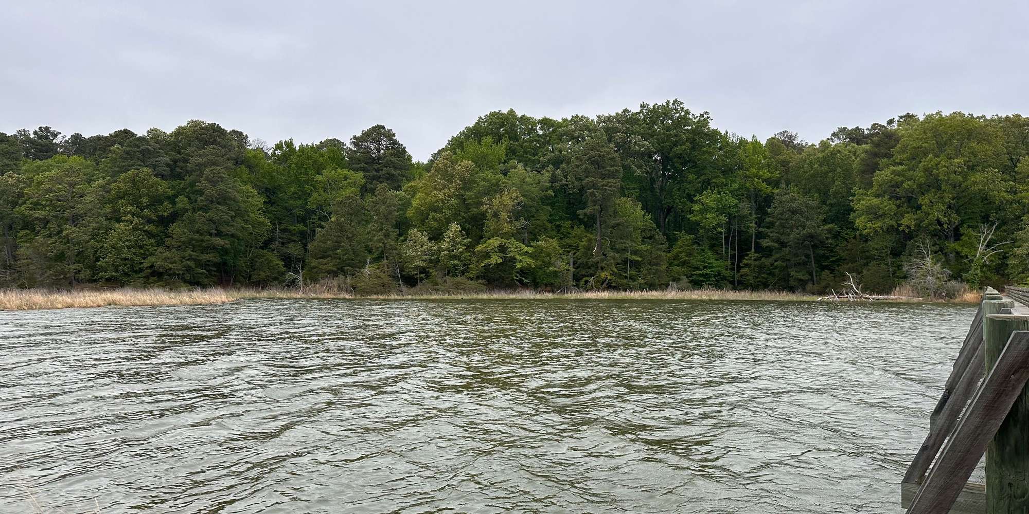 Second image to compare