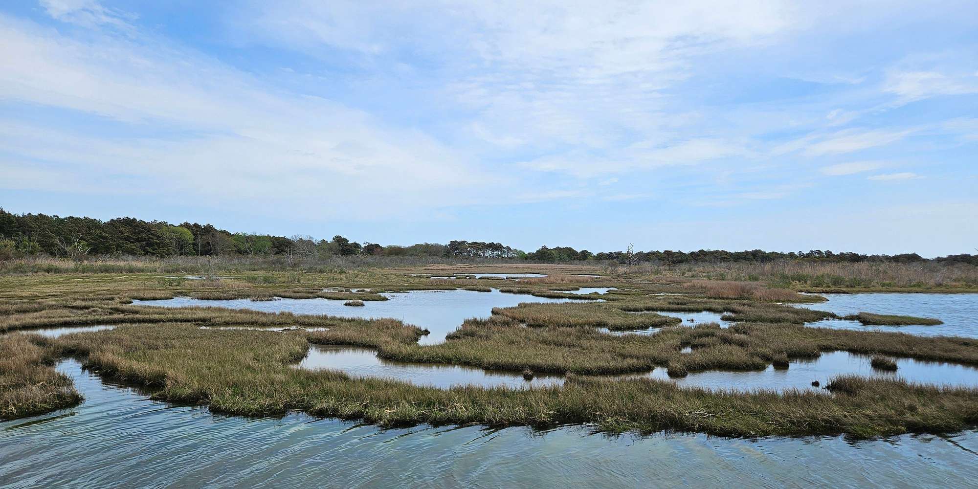 Second image to compare